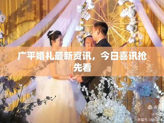 广平婚礼最新资讯，今日喜讯抢先看