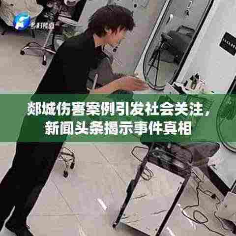 郯城伤害案例引发社会关注，新闻头条揭示事件真相