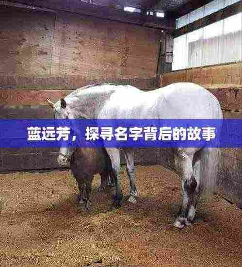 蓝远芳，探寻名字背后的故事