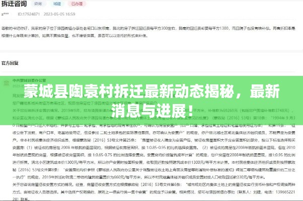 蒙城县陶袁村拆迁最新动态揭秘，最新消息与进展！