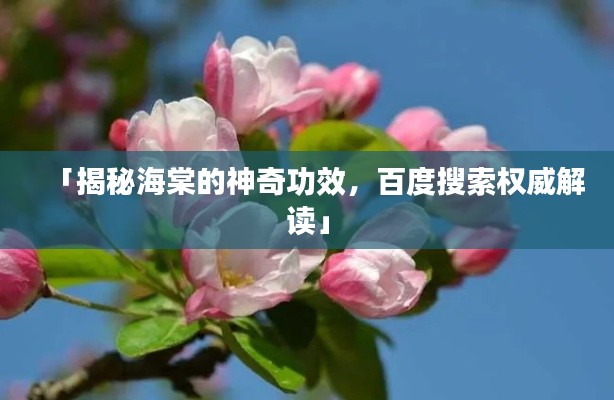 「揭秘海棠的神奇功效，百度搜索权威解读」
