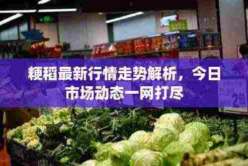 九死一生 第3页