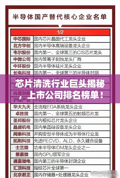 芯片清洗行业巨头揭秘，上市公司排名榜单！