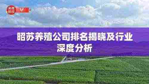 昭苏养殖公司排名揭晓及行业深度分析