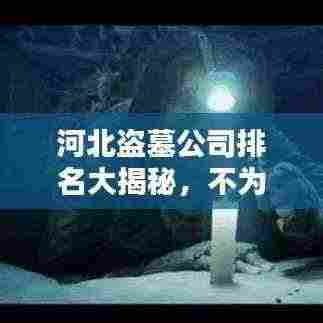 河北盗墓公司排名大揭秘，不为人知的古墓探险产业内幕