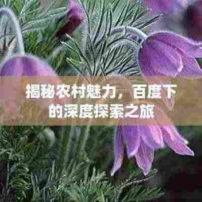 揭秘农村魅力，百度下的深度探索之旅