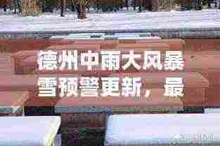 德州中雨大风暴雪预警更新，最新动态与预警信息速递