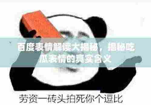 百度表情解读大揭秘，揭秘吃瓜表情的真实含义