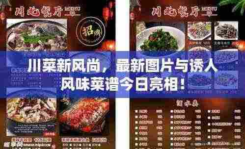 川菜新风尚，最新图片与诱人风味菜谱今日亮相！