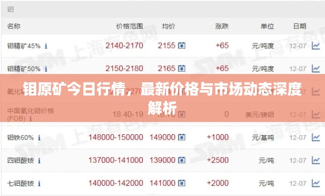 钼原矿今日行情，最新价格与市场动态深度解析