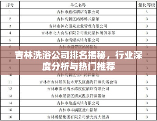 吉林洗浴公司排名揭秘，行业深度分析与热门推荐