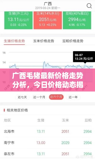 广西毛猪最新价格走势分析，今日价格动态揭秘