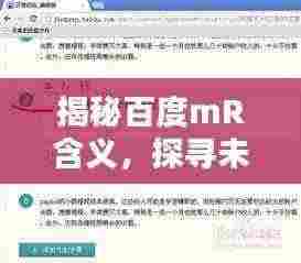 揭秘百度mR含义，探寻未知词汇真相！