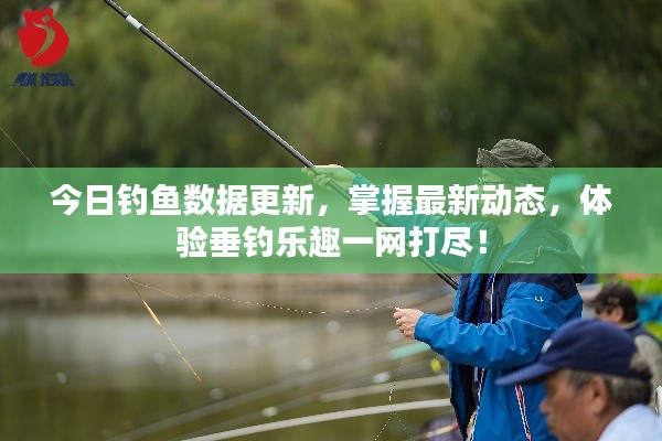 今日钓鱼数据更新，掌握最新动态，体验垂钓乐趣一网打尽！