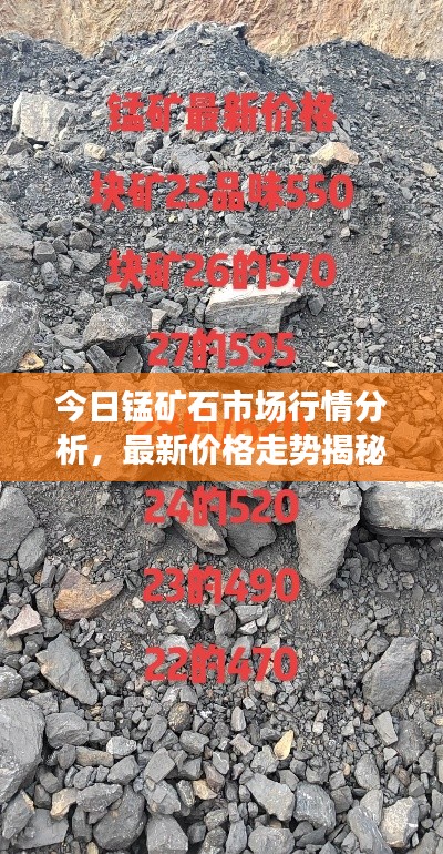 今日锰矿石市场行情分析，最新价格走势揭秘