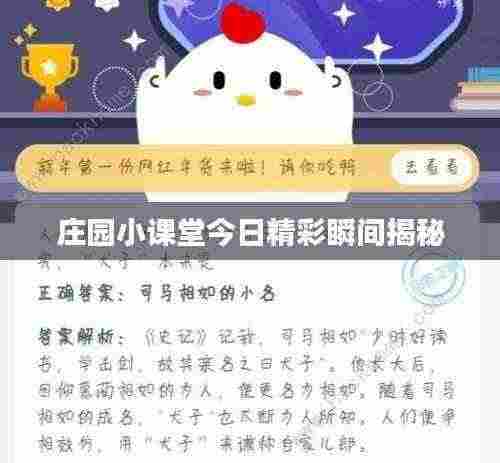 庄园小课堂今日精彩瞬间揭秘