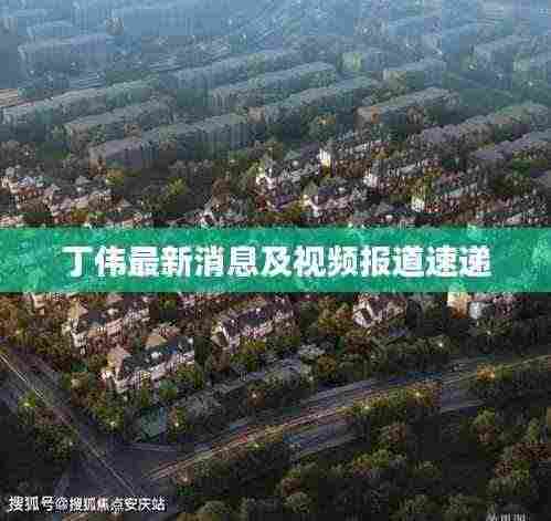 丁伟最新消息及视频报道速递