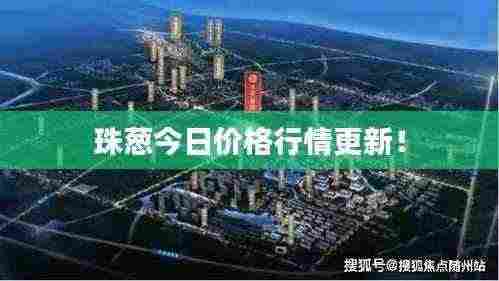 珠葱今日价格行情更新！