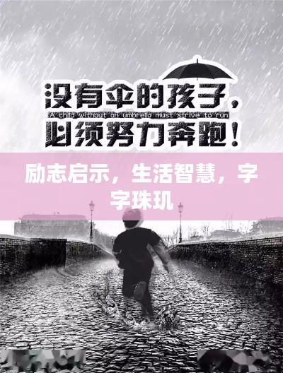 励志启示，生活智慧，字字珠玑