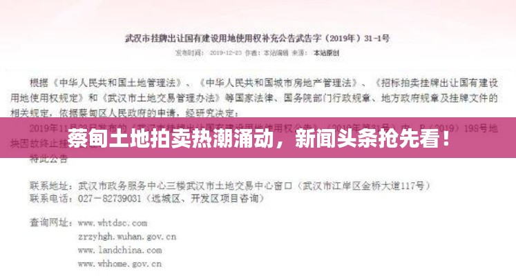 蔡甸土地拍卖热潮涌动，新闻头条抢先看！