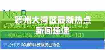 赣州大湾区最新热点新闻速递