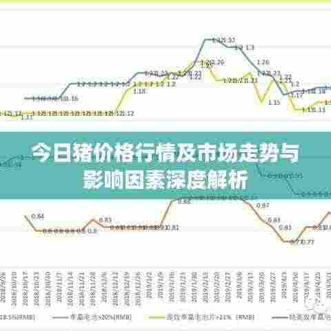 今日猪价格行情及市场走势与影响因素深度解析