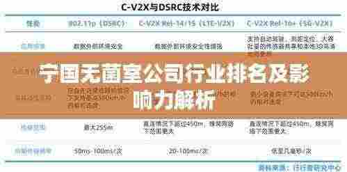 宁国无菌室公司行业排名及影响力解析