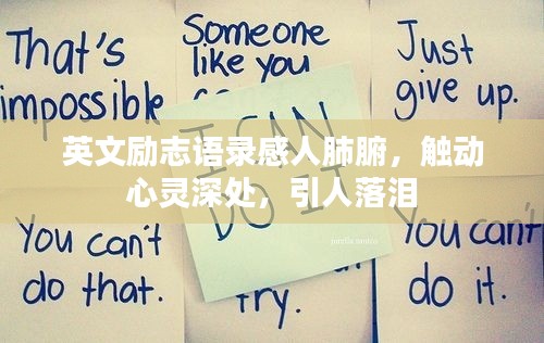 英文励志语录感人肺腑，触动心灵深处，引人落泪