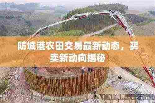 防城港农田交易最新动态，买卖新动向揭秘