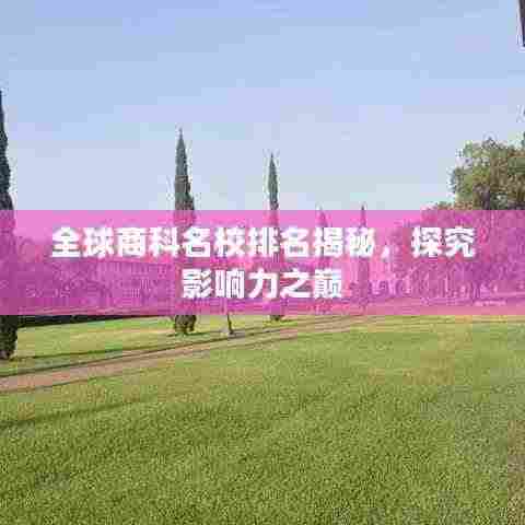 全球商科名校排名揭秘，探究影响力之巅