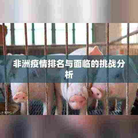 非洲疫情排名与面临的挑战分析
