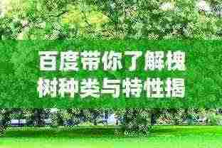 百度带你了解槐树种类与特性揭秘