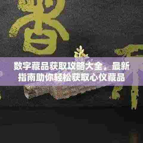 数字藏品获取攻略大全，最新指南助你轻松获取心仪藏品