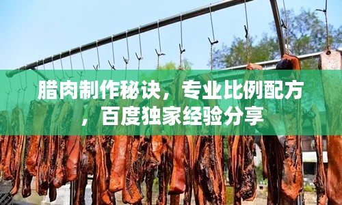腊肉制作秘诀，专业比例配方，百度独家经验分享