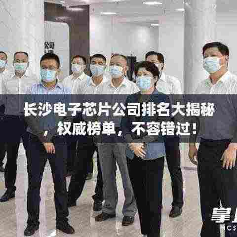 长沙电子芯片公司排名大揭秘，权威榜单，不容错过！