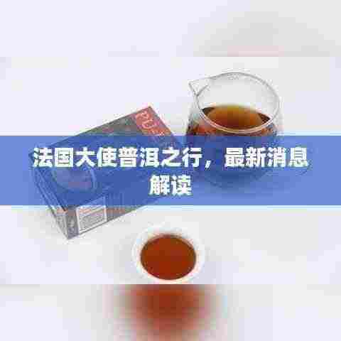 法国大使普洱之行，最新消息解读