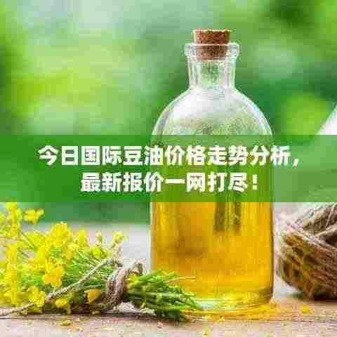 今日国际豆油价格走势分析，最新报价一网打尽！