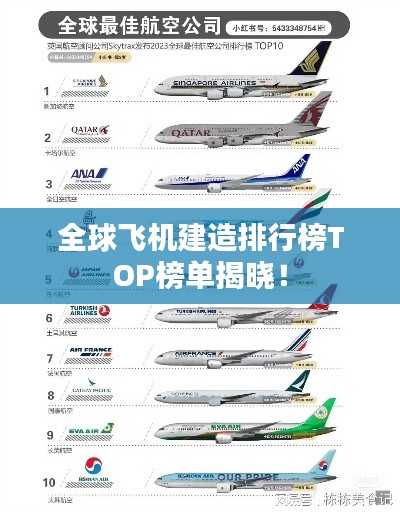 全球飞机建造排行榜TOP榜单揭晓！