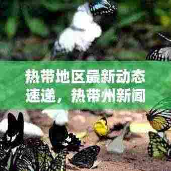 热带地区最新动态速递，热带州新闻头条探索揭秘！