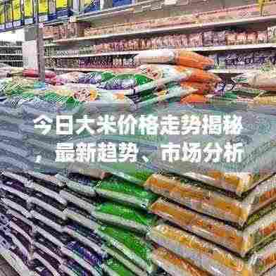 今日大米价格走势揭秘，最新趋势、市场分析及影响因素探讨