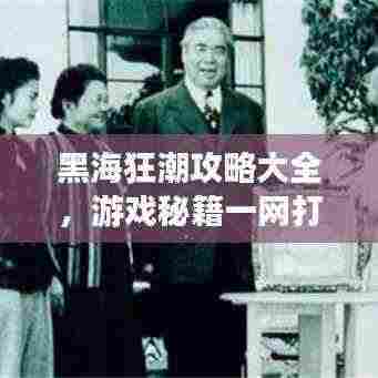 黑海狂潮攻略大全，游戏秘籍一网打尽（最新更新）