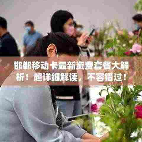 邯郸移动卡最新资费套餐大解析！超详细解读，不容错过！
