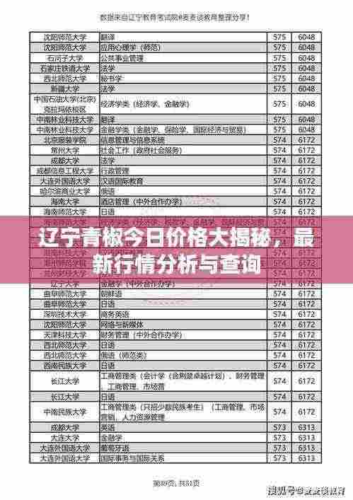 辽宁青椒今日价格大揭秘，最新行情分析与查询