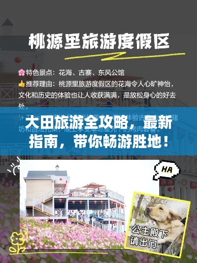 大田旅游全攻略，最新指南，带你畅游胜地！