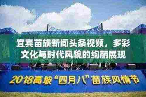 宜宾苗族新闻头条视频，多彩文化与时代风貌的绚丽展现