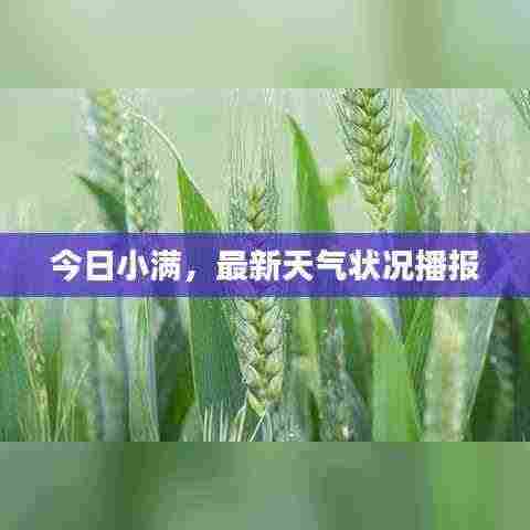 今日小满，最新天气状况播报