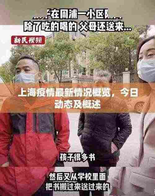 上海疫情最新情况概览，今日动态及概述