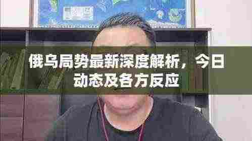 俄乌局势最新深度解析，今日动态及各方反应