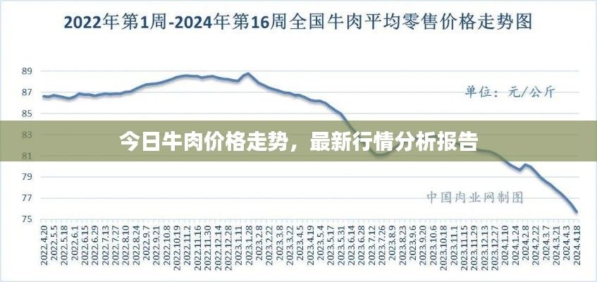 今日牛肉价格走势，最新行情分析报告