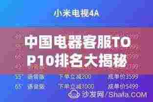 中国电器客服TOP10排名大揭秘！